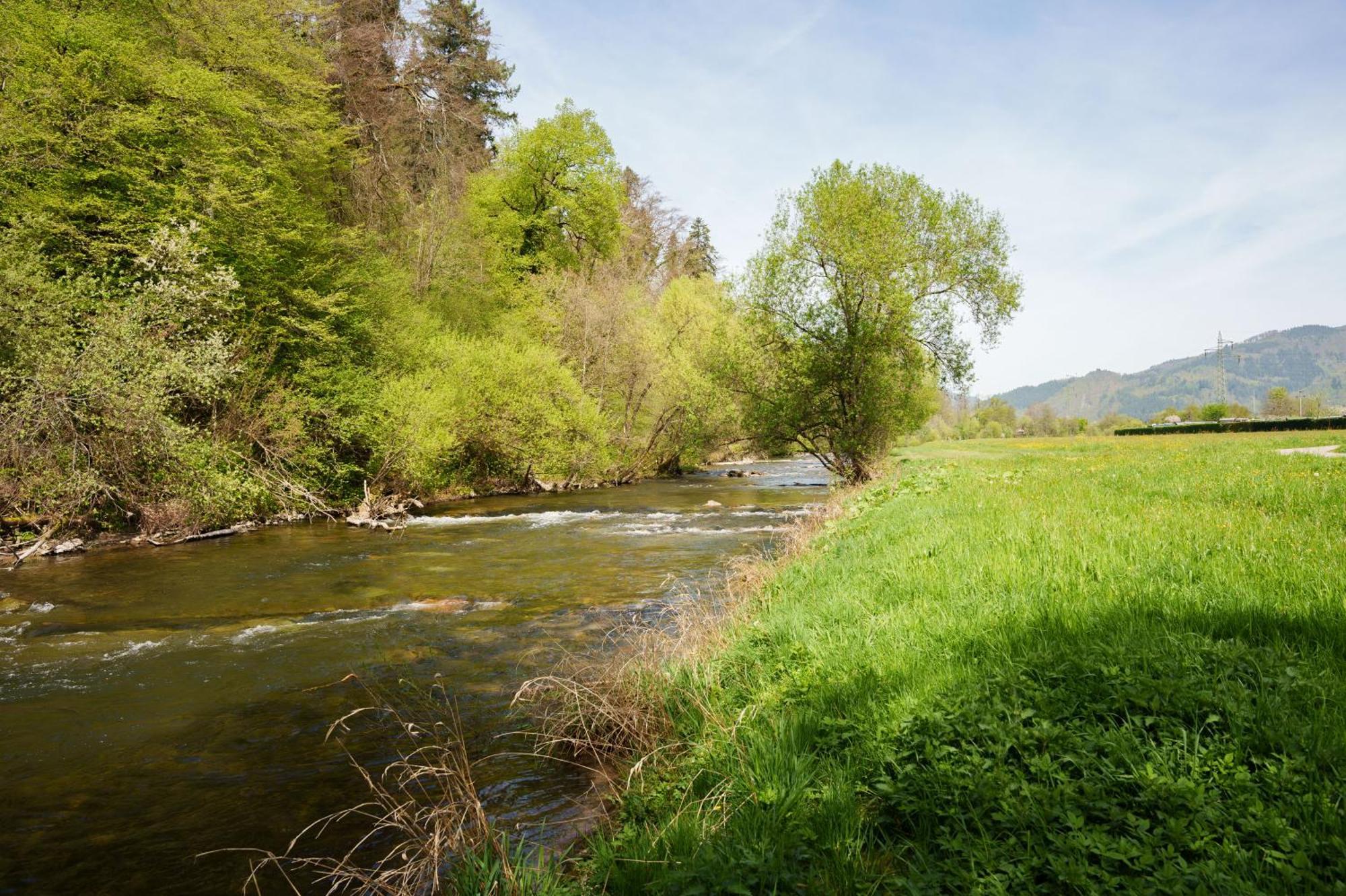 Ferienwohnung Alte Scheune Schopfheim Luaran gambar